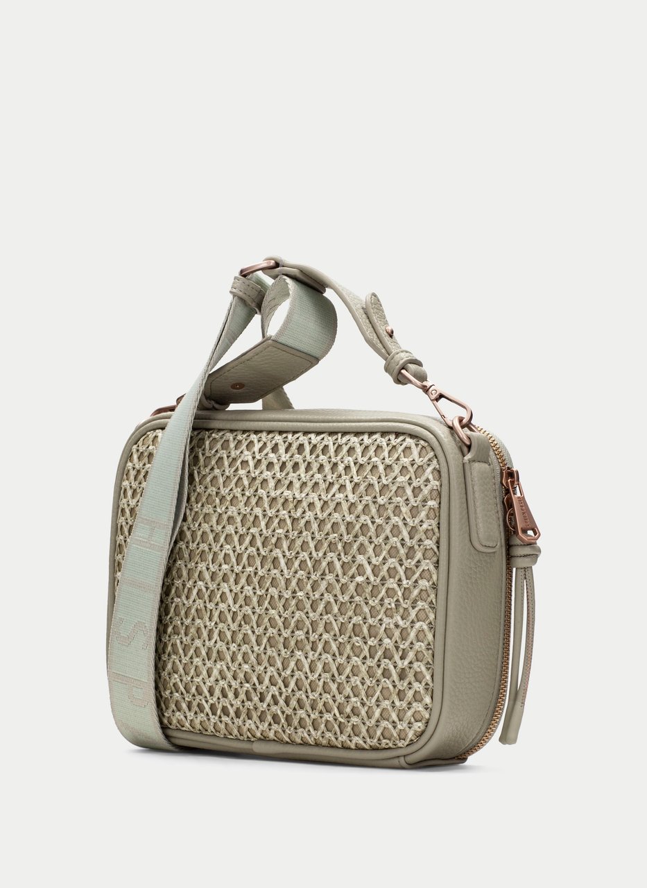 bandolera  alga
