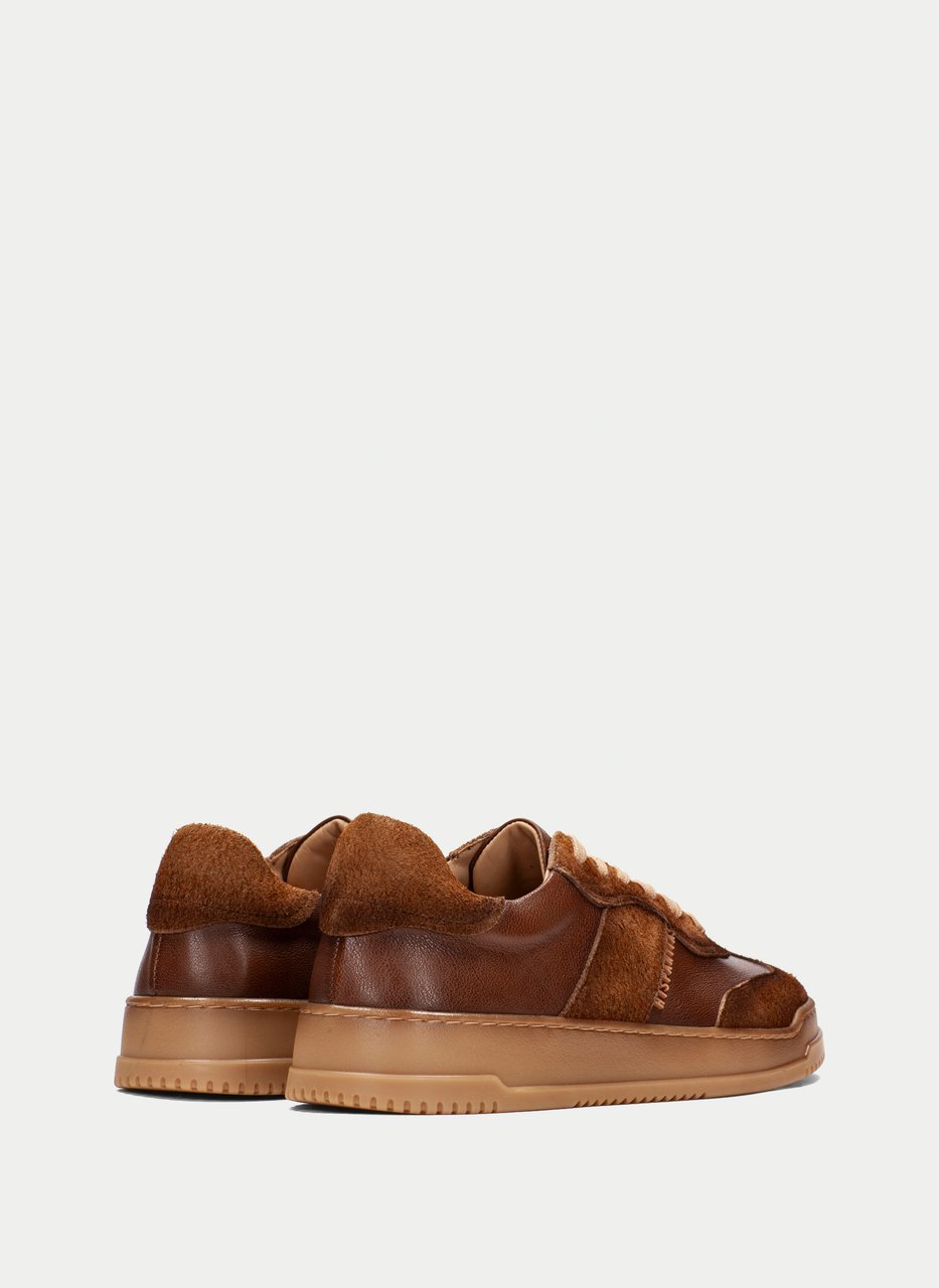 sneaker  tan