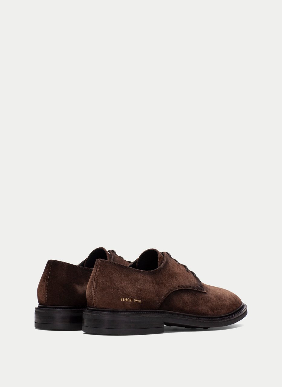 blucher  brown