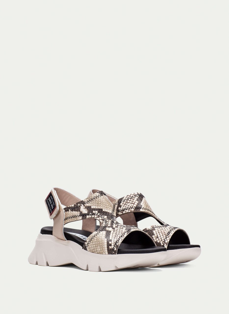 sandali sportivi dakar python-taupe