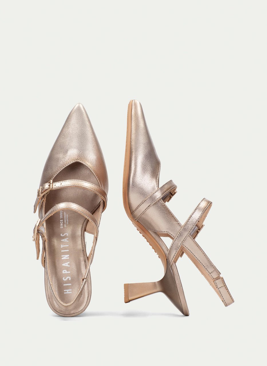 talon découvert nova champagne