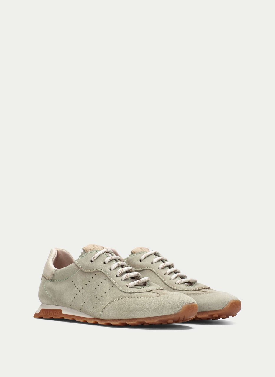 sneaker zinnia algue