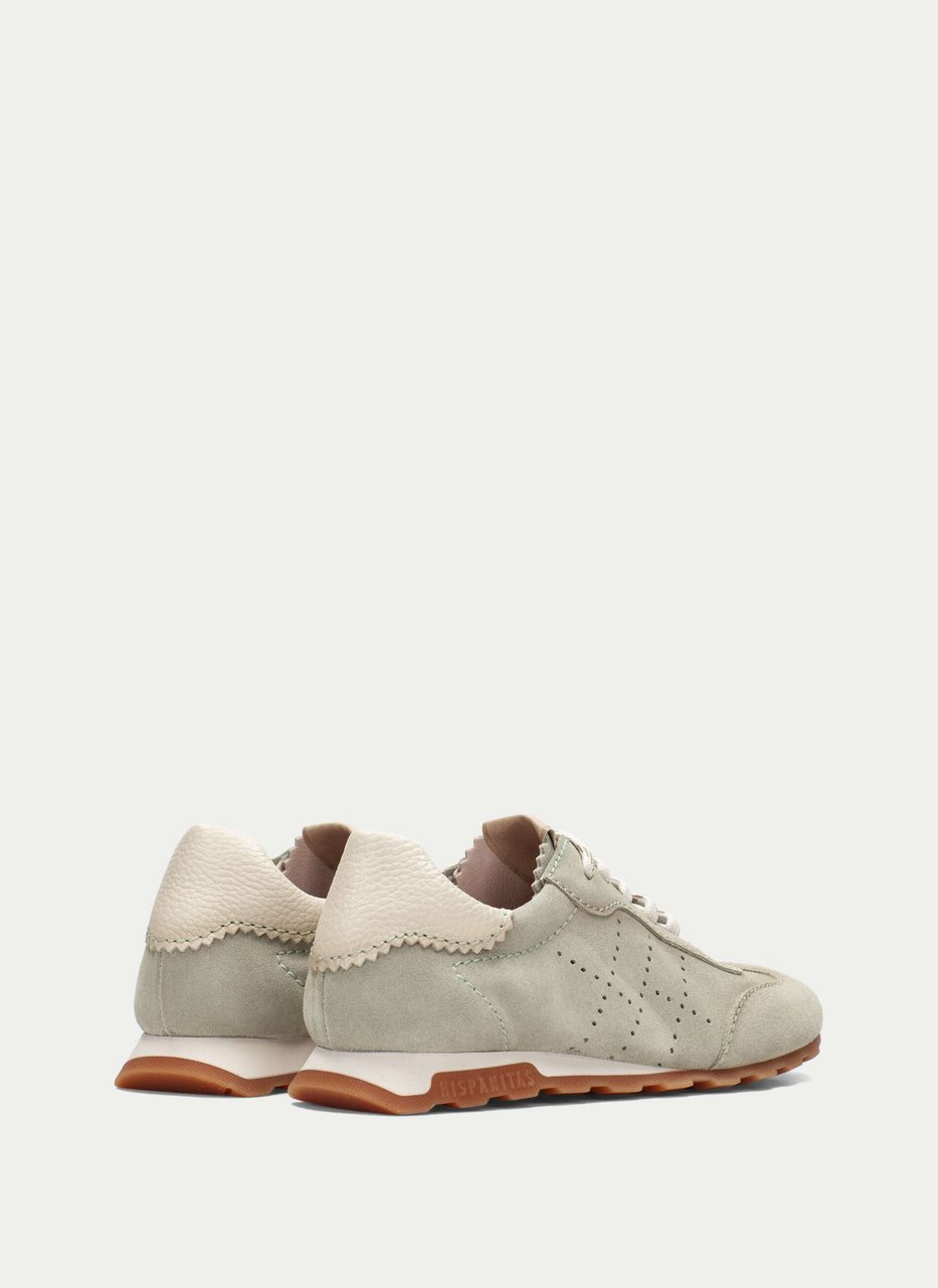 sneaker zinnia algue