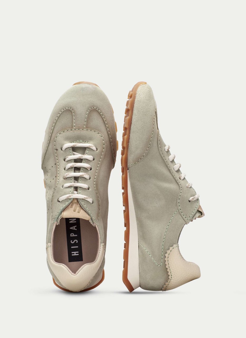sneaker zinnia algue