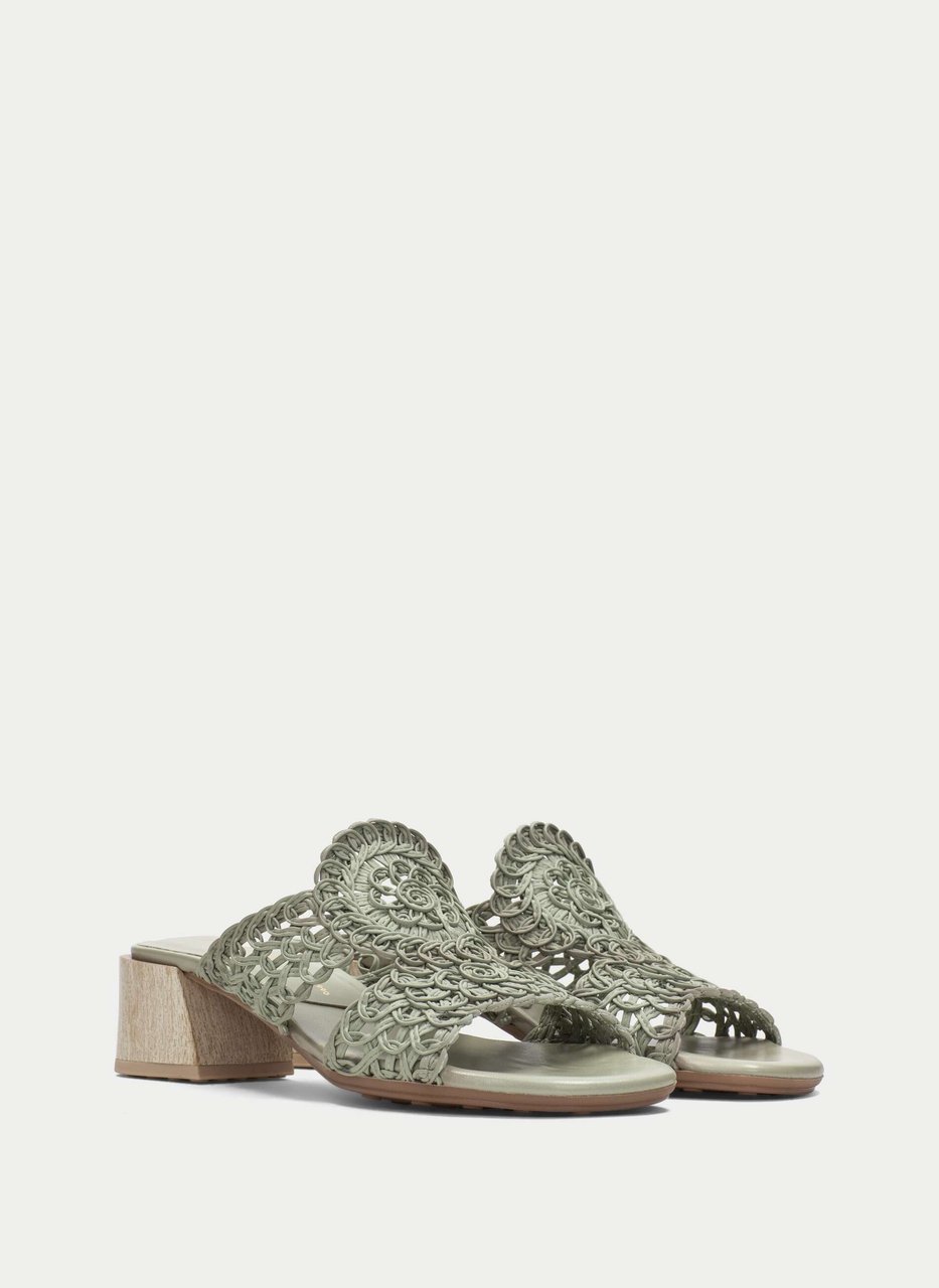 sandal tulipan alga