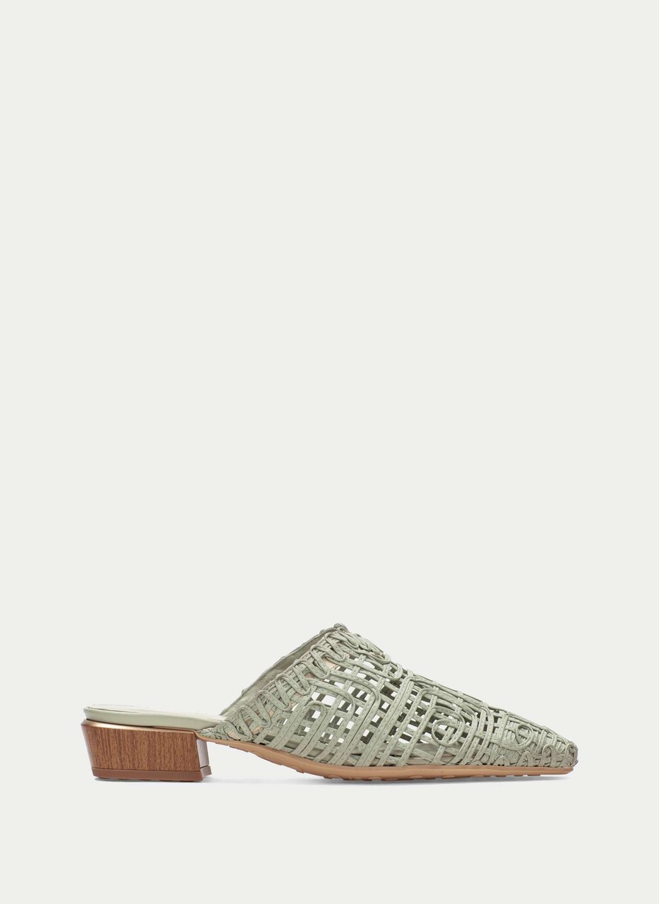 mule azucena alga