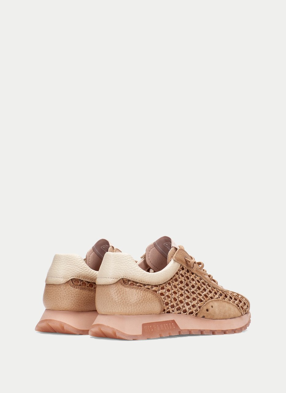 sneaker oregon desert
