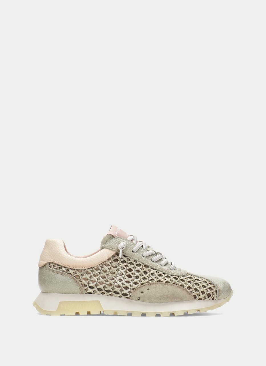 sneaker oregon algue