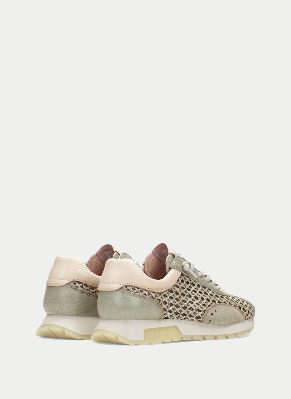 sneaker oregon algue